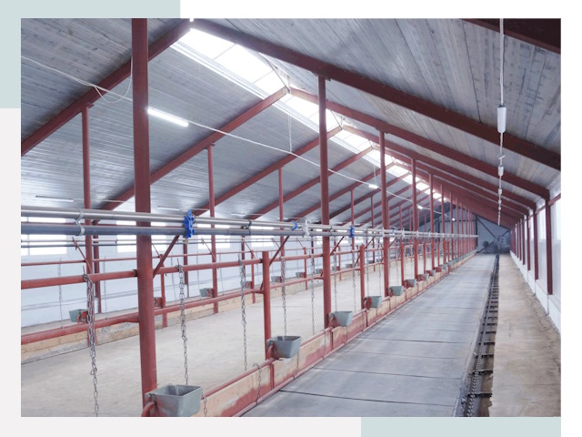 Строительство коровников в Балашове от 610 руб.