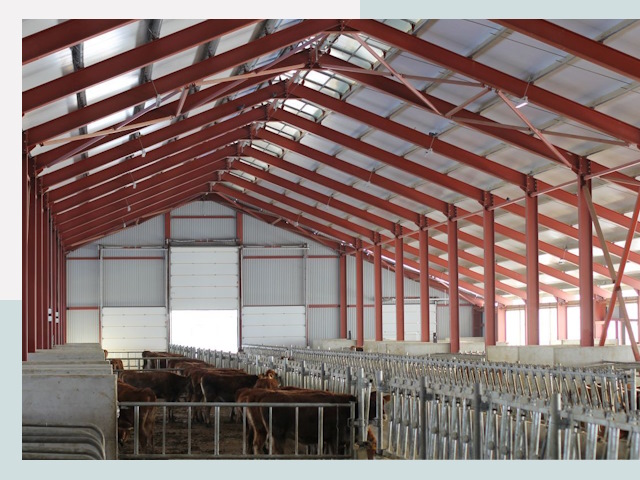 Строительство коровников в Балашове