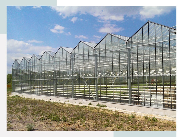 Строительство теплиц в Балашов от 610 руб. за м²