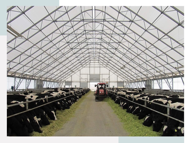 Тентовые коровники в Балашове от 610 руб. - Надежно и доступно