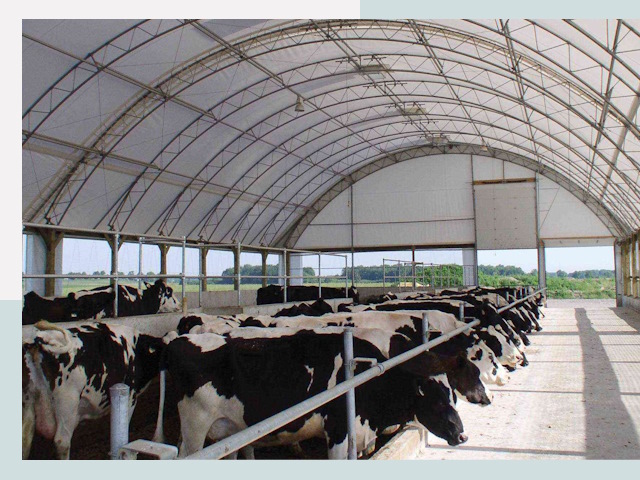 Тентовые коровники в Балашове